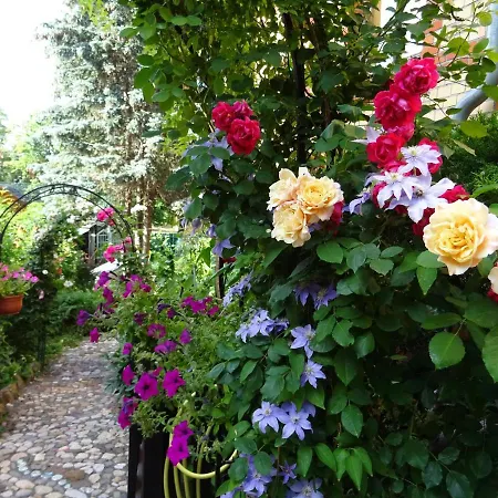 Maison d'hôtes Imperia, Museums-hotel, Treppensteigen Blankenburg (Harz)