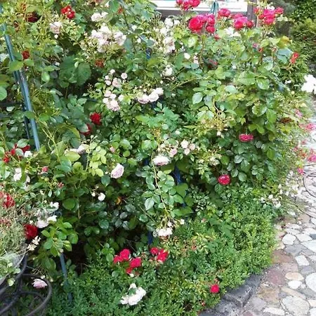 Maison d'hôtes Imperia, Museums-hotel, Treppensteigen Blankenburg (Harz)