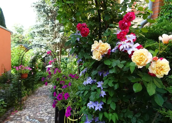 Pensionat Imperia, Museums-hotel, Treppensteigen Blankenburg (Harz)