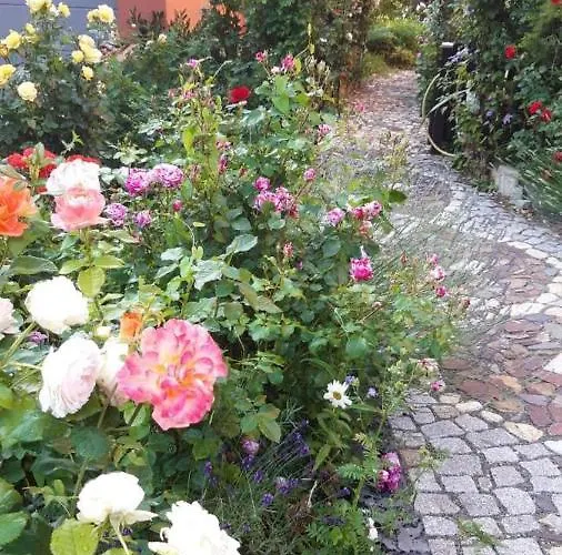 Imperia, Museums-hotel, Treppensteigen 3*