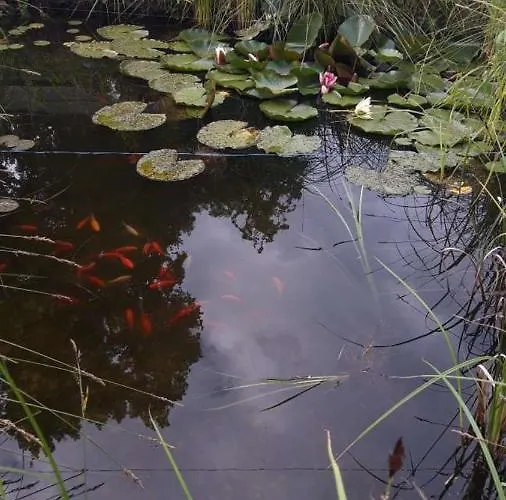 Pensionat Imperia, Museums-hotel, Treppensteigen