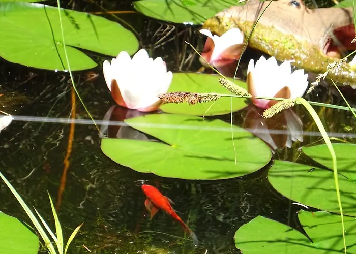 Pensionat Imperia, Museums-hotel, Treppensteigen